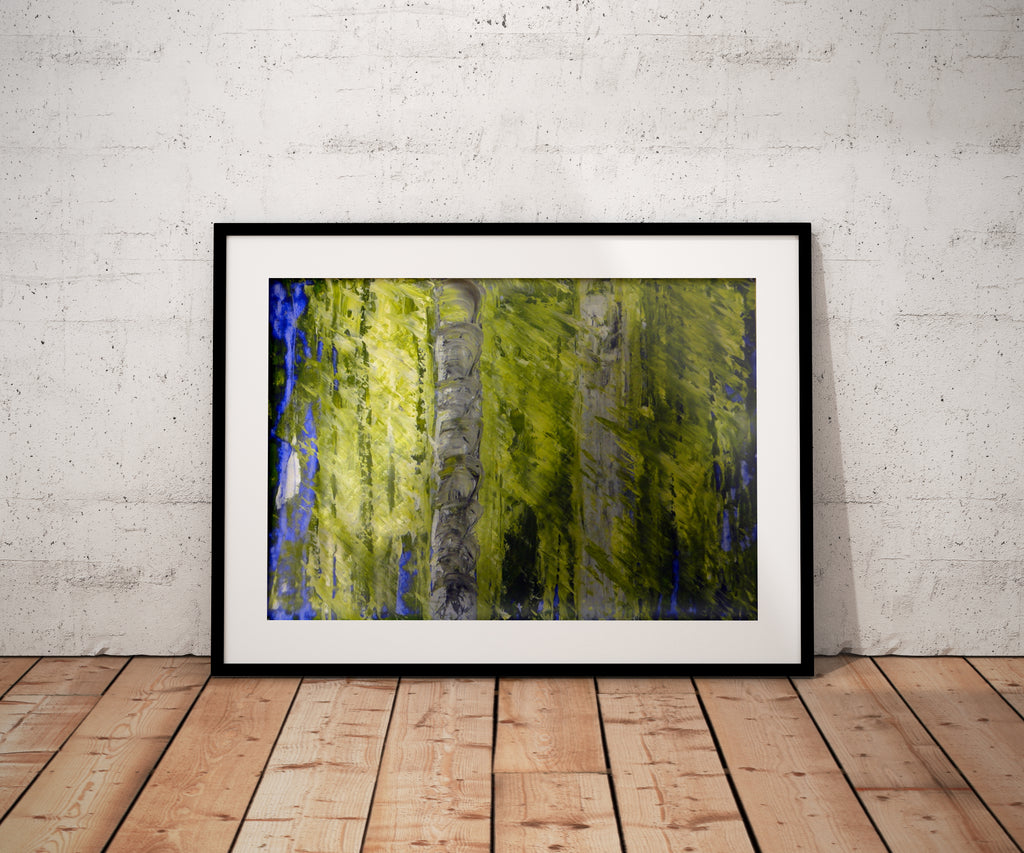 "Forest For The Trees"