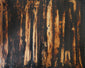 "Burnt Toast"
