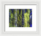 Forest For The Trees - Framed Print