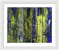 Forest For The Trees - Framed Print