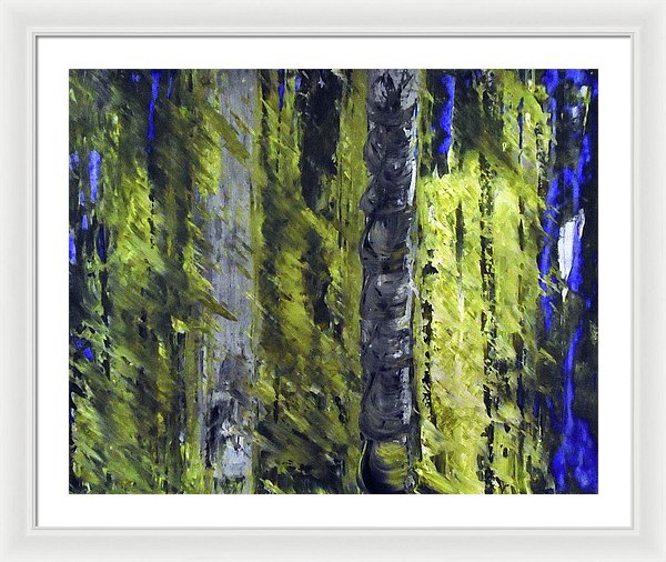 Forest For The Trees - Framed Print
