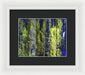 Forest For The Trees - Framed Print