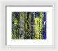 Forest For The Trees - Framed Print