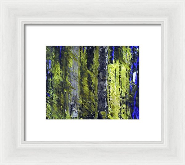 Forest For The Trees - Framed Print