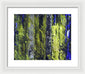 Forest For The Trees - Framed Print