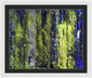 Forest For The Trees - Framed Print