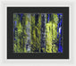 Forest For The Trees - Framed Print