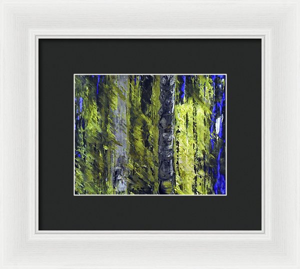 Forest For The Trees - Framed Print