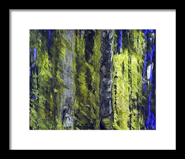 Forest For The Trees - Framed Print