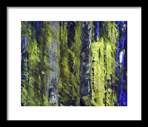 Forest For The Trees - Framed Print