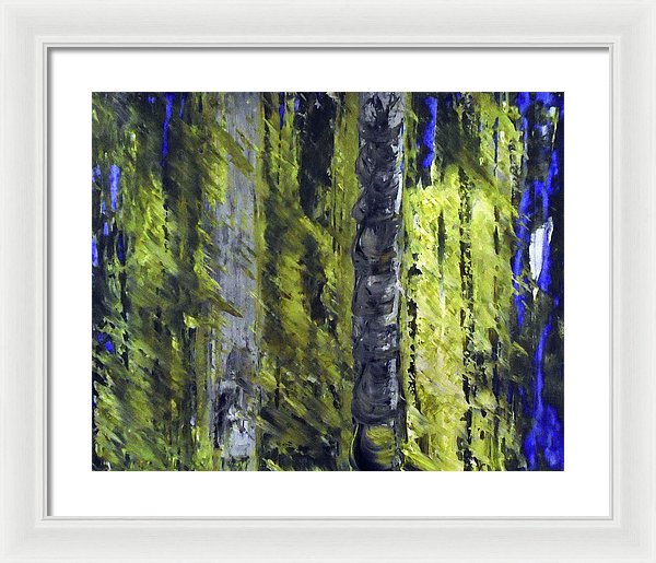 Forest For The Trees - Framed Print