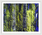 Forest For The Trees - Framed Print