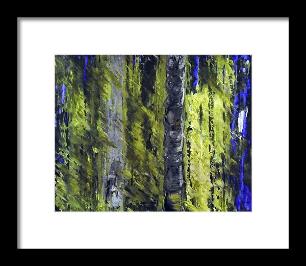 Forest For The Trees - Framed Print