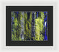 Forest For The Trees - Framed Print