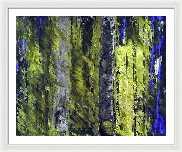Forest For The Trees - Framed Print