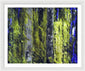 Forest For The Trees - Framed Print