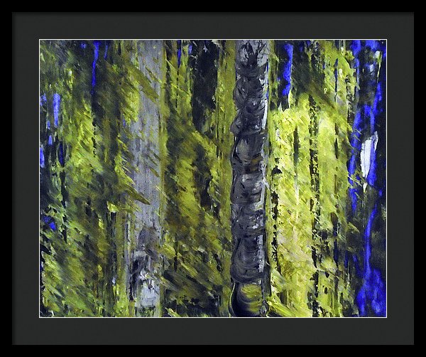 Forest For The Trees - Framed Print