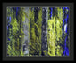 Forest For The Trees - Framed Print