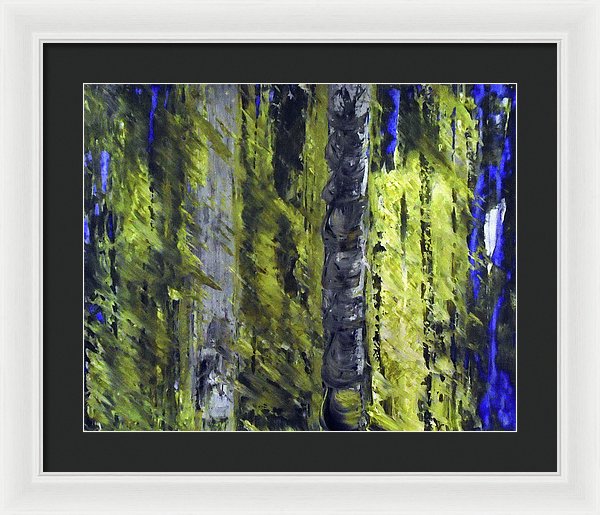 Forest For The Trees - Framed Print
