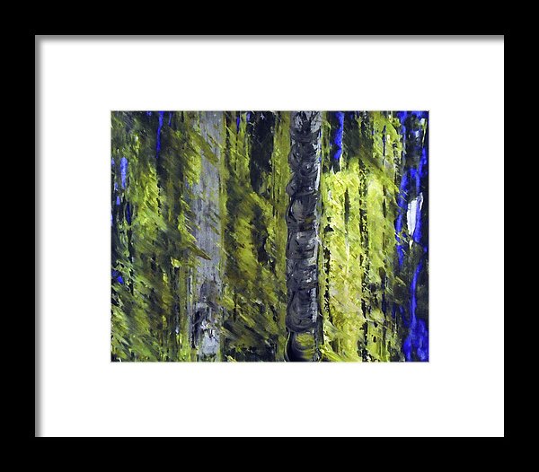 Forest For The Trees - Framed Print