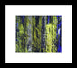 Forest For The Trees - Framed Print