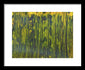 Going To 5 0 - Framed Print