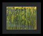 Going To 5 0 - Framed Print