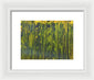 Going To 5 0 - Framed Print