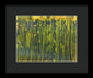 Going To 5 0 - Framed Print