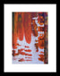 Hoarders - Framed Print