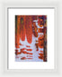 Hoarders - Framed Print