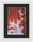 Hoarders - Framed Print