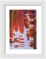 Hoarders - Framed Print