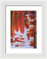 Hoarders - Framed Print