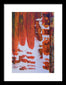 Hoarders - Framed Print