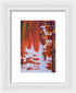 Hoarders - Framed Print