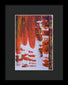 Hoarders - Framed Print