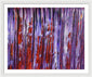 Like Every Other Day Is My Birthday - Framed Print