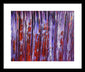 Like Every Other Day Is My Birthday - Framed Print
