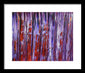 Like Every Other Day Is My Birthday - Framed Print
