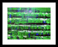 Marco Polo - Framed Print