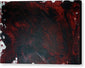 Red Rum - Canvas Print