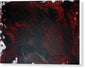 Red Rum - Canvas Print