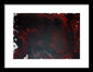 Red Rum - Framed Print