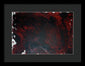Red Rum - Framed Print