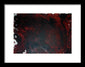 Red Rum - Framed Print