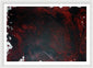 Red Rum - Framed Print