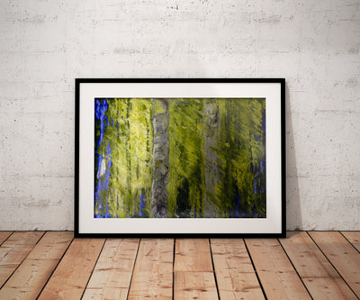 "Forest For The Trees"