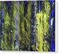 Forest For The Trees - Canvas Print