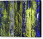 Forest For The Trees - Canvas Print